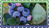 @spypigeon's Pin Board Image