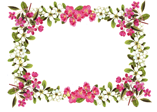 @purrecious's Pin Board Image