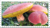 @sunsetzare4muggingz's Pin Board Image