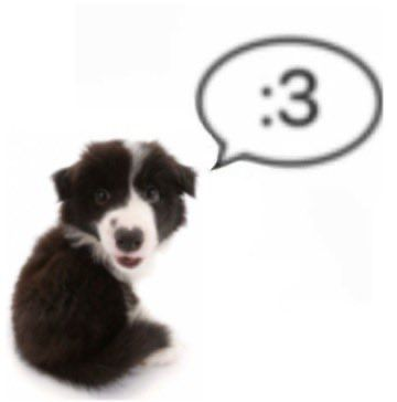 @NetPet's Pin Board Image