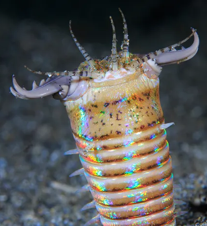 @e1yn's Pin Board Image