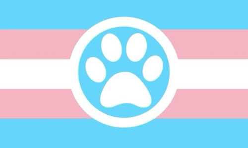 @Bow-WowArts's Pin Board Image