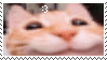 @snigh's Pin Board Image