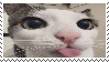 @snigh's Pin Board Image