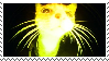@snigh's Pin Board Image
