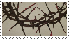 @snigh's Pin Board Image