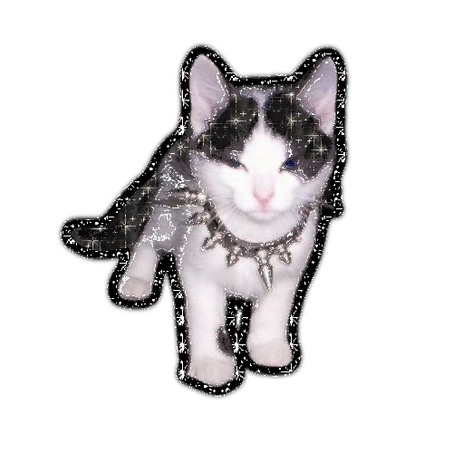 maryshelleysfrankenshit's Page Doll