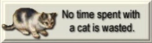 @wieszczy's Pin Board Image