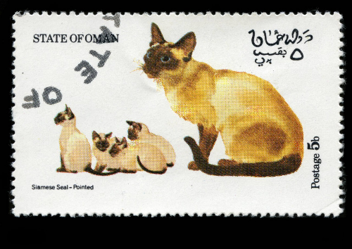 @wieszczy's Pin Board Image