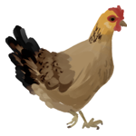 @Ypsilenna's Pin Board Image