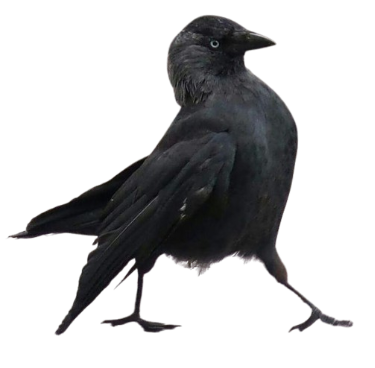 @Kotisnotacat's Pin Board Image