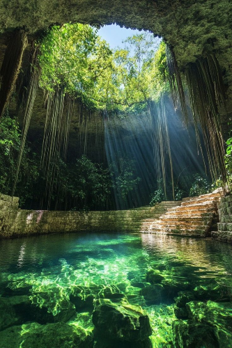 @PhaeCat's Pin Board Image