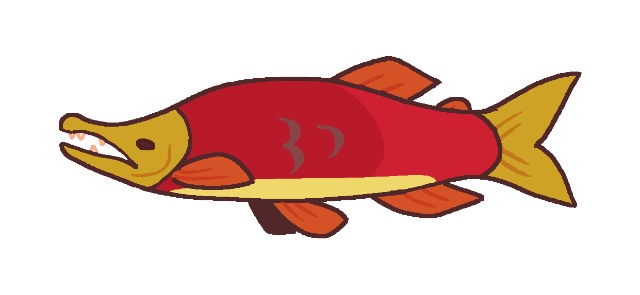 ThatSockeye's Page Doll