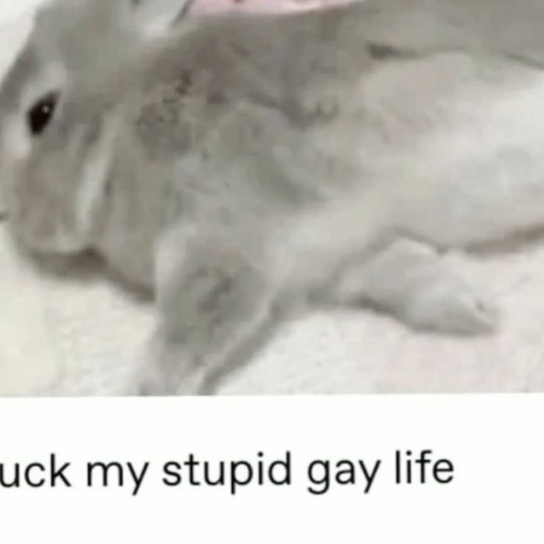 @gryncore's Pin Board Image