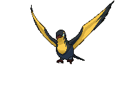 @ironfeasant's Pin Board Image