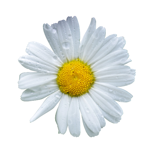 @donut1897's Pin Board Image