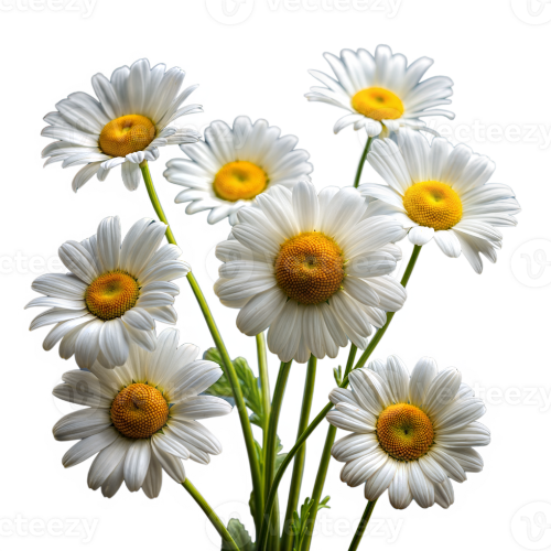 @donut1897's Pin Board Image