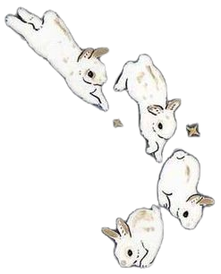 @aventurine's Pin Board Image