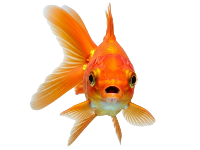 cherryxd's Page Doll