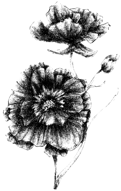 GingerTea29's Page Doll