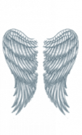 @zylvexn's Pin Board Image