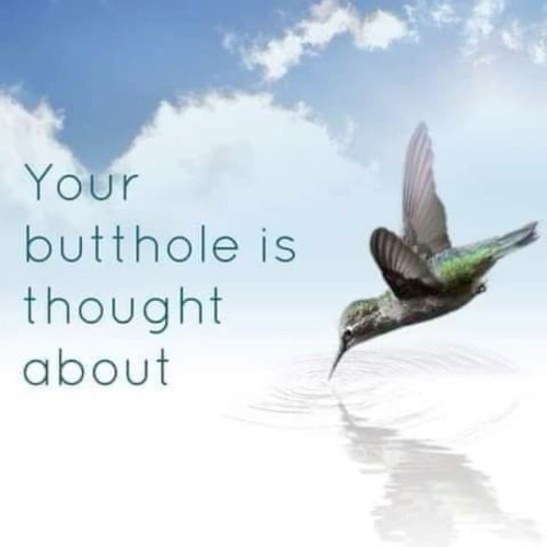 @zylvexn's Pin Board Image