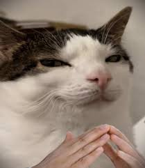 @LostAcrylix's Pin Board Image