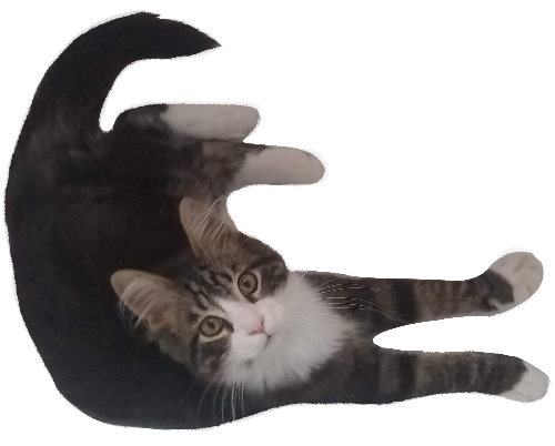 @SketchHound's Pin Board Image